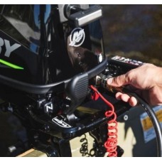 Лодочный мотор Mercury F5MH LPG