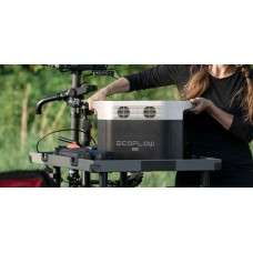 Комплект энергонезависимости EcoFlow PowerStream – микроинвертор 600W + зарядная станция Delta Max 2000 + 2 x 400W стационарные солнечные панели