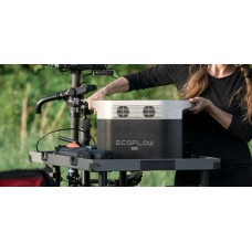 Комплект энергонезависимости EcoFlow PowerStream – микроинвертор 600W + зарядная станция Delta Max 2000