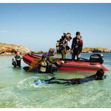 Лодочный мотор Mercury F25M EFI