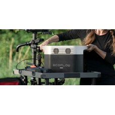 Комплект EcoFlow DELTA Max(1600) + 220W Solar Panel