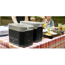 Комплект EcoFlow DELTA Max(1600) + 220W Solar Panel