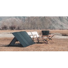 Комплект EcoFlow DELTA Max(1600) + 220W Solar Panel