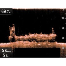 Эхолот Raymarine Dragonfly 4 DV, CHIRP Downvision, CPT-DV (E70291)