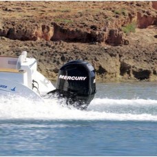 Лодочный мотор Mercury F80 ELPT EFI