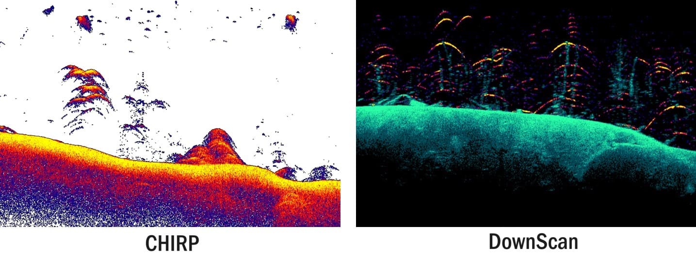 Lowrance CHIRP DownScan