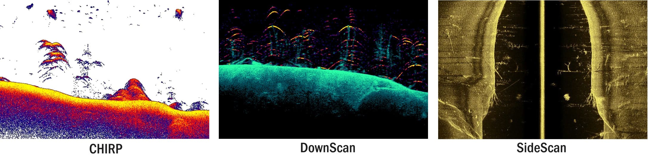 Lowrance CHIRP DownScan SideScan